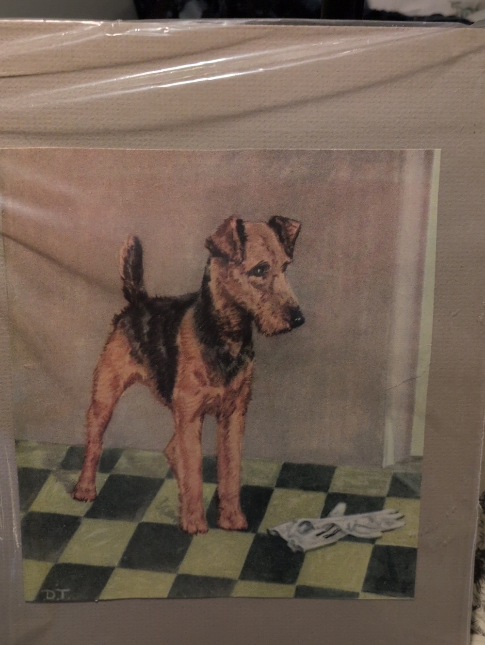 Authentic Vintage 1932 Diana Thorne Airedale Terrier Dog